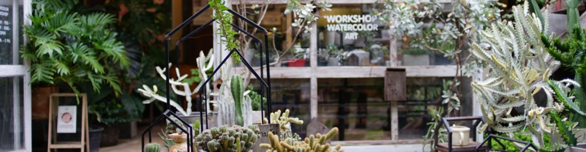 清鬆邁向泰美好之旅